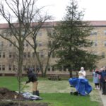 Celebrating Earth Day: Planting a Tree