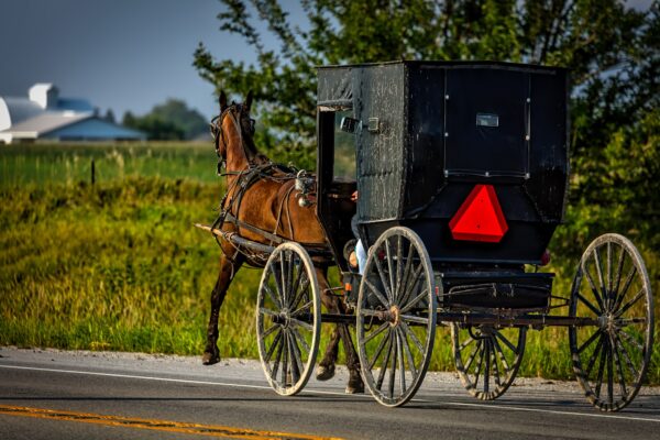 Growing up Amish, Navigating a Transformed Lifestyle (via Zoom)
