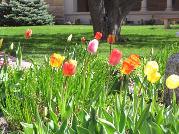 Garden Meditation (Outdoor Program)