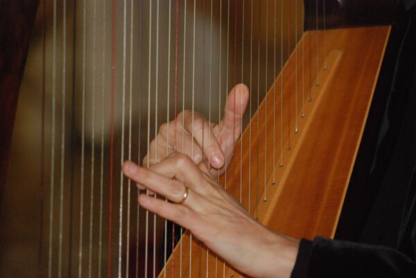 Mindful Monday Meditation with Music (Outdoor Program)