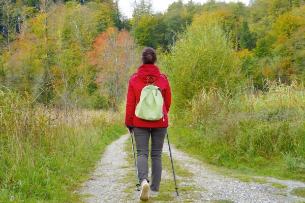 Healthy Aging Strategies - Indoor - Postponed