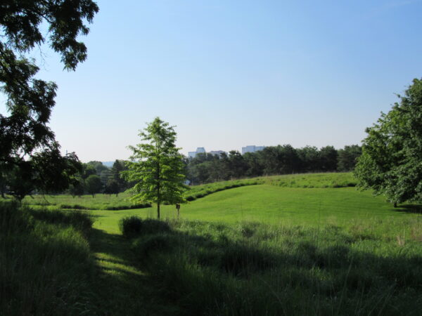 A Mystical Walk on Hallowed Earth (In Person)